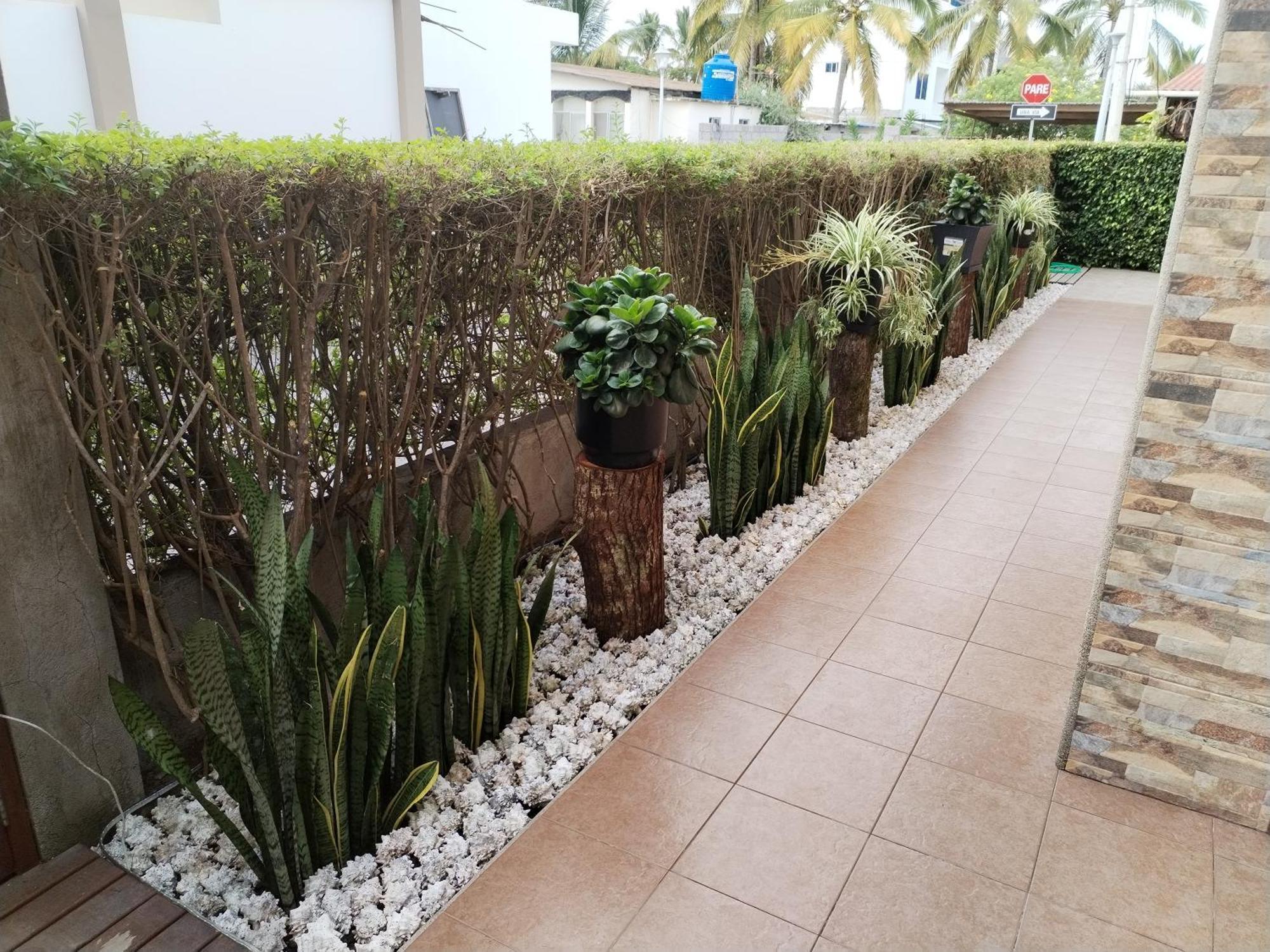 Hotel Starfish Puerto Villamil Dış mekan fotoğraf